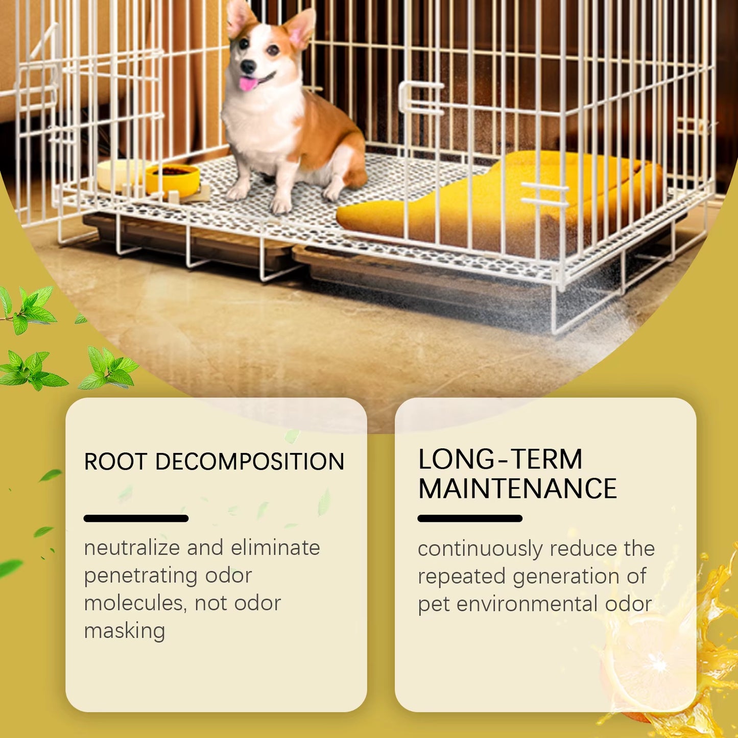 Powerful Pet Odor Eliminator Enzyme Formula for Stubborn Dog Urine Cat Smell on Bed Crate Litter Box - Air Freshener for Kennel